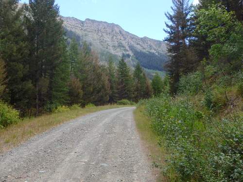 GDMBR: Climbing NF-4353 towards Richmond Peak, MT.